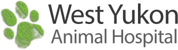 West Yukon Animal Hospital